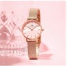 Reloj Daniel Wellington 28MM Dorado